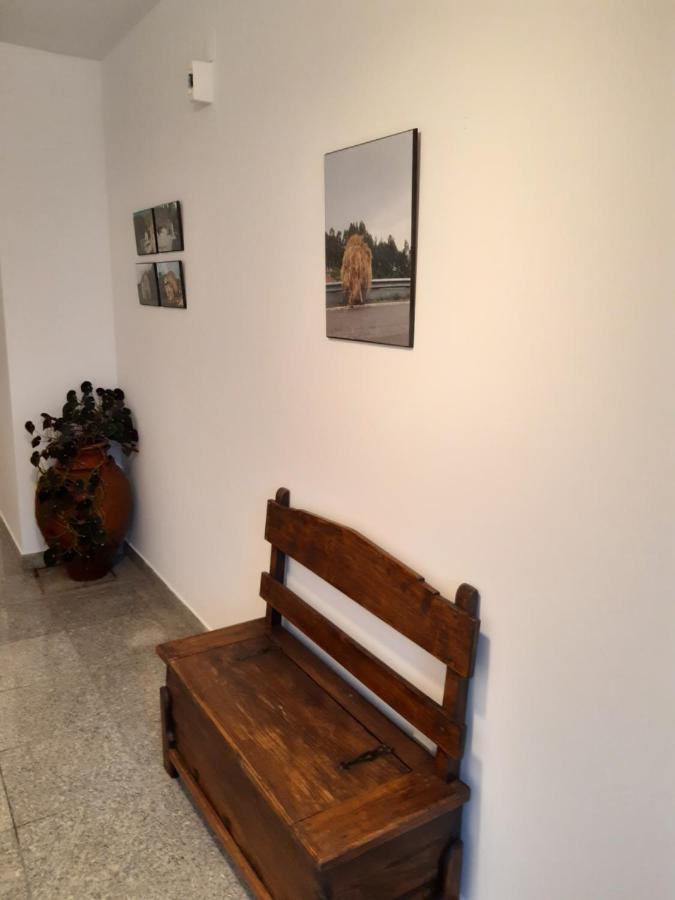 Casa Araci 호텔 비에이라도미노 외부 사진